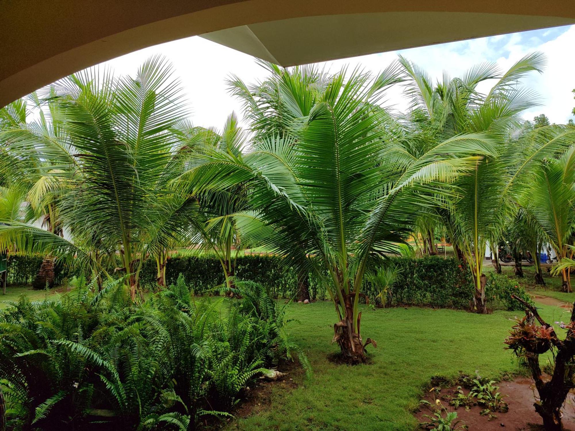 E&N Paradise Island Resort Siquijor Dış mekan fotoğraf