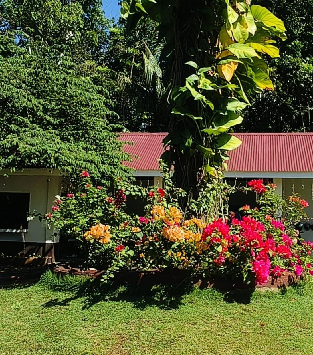 E&N Paradise Island Resort Siquijor Dış mekan fotoğraf